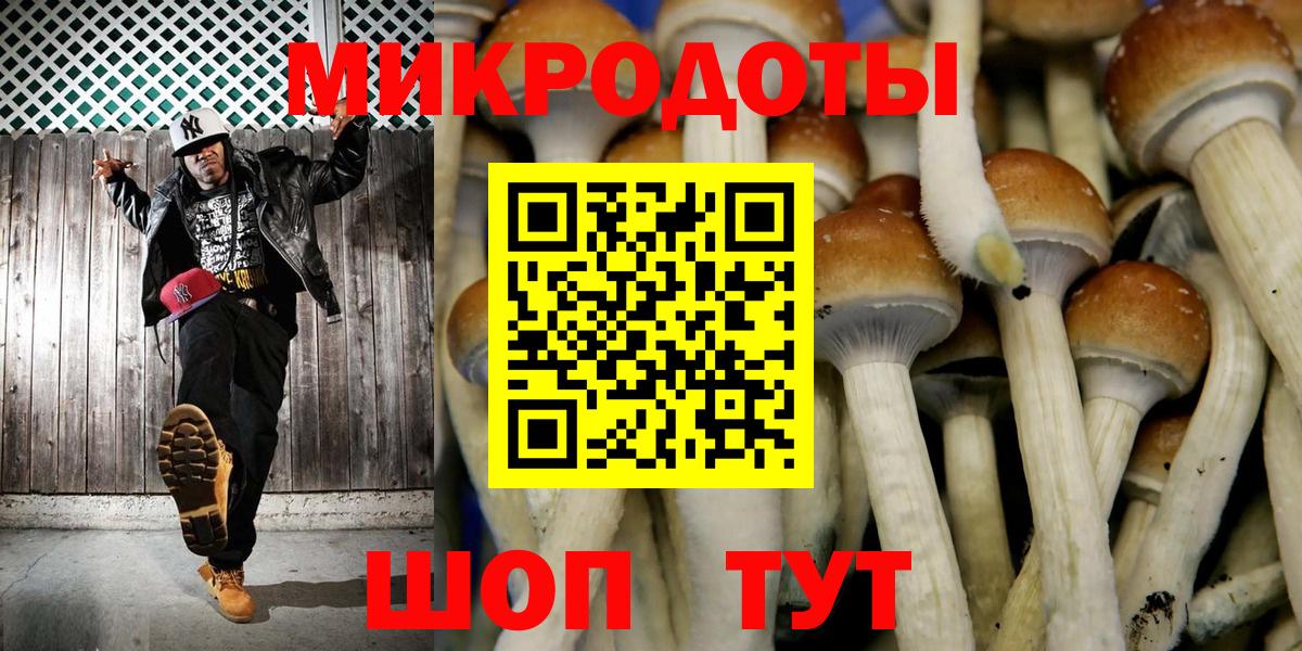 Галлюциногенные грибы Psilocybine cubensis  Вход с VPN  Грязи 